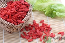 枸杞子泡酒怎么泡？枸杞酒的制作方法是什么？