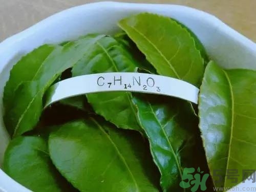 睡眠水為什么可以讓人入睡？可口可樂(lè)睡眠水有什么副作用？