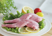 兔肉不能和什么一起吃？什么人不能吃兔肉？