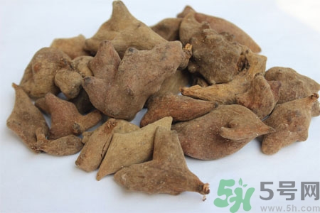 五倍子能治早泄嗎？五倍子的副作用有哪些？