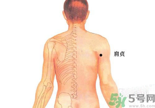 肩周炎艾灸有用嗎？肩周炎艾灸哪些部位？