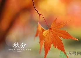 秋分吃什么？秋分吃什么水果？