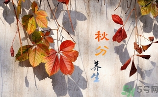 秋分吃什么？秋分吃什么水果？