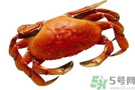 大閘蟹是發(fā)物嗎？哪些人不宜吃大閘蟹？