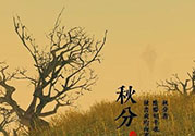 秋分吃什么？秋分吃什么水果？
