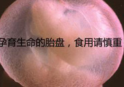 寶寶胎盤怎么處理比較好？?寶寶胎盤的功效與作用