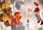 秋分喝什么茶？秋分養(yǎng)生茶飲推薦