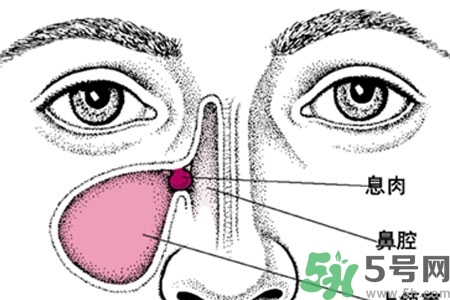 鼻子不通氣是怎么回事？鼻子不通氣怎么辦？