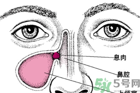 鼻子出血怎么辦？鼻子出血的原因是什么？