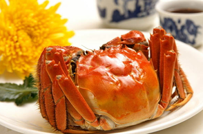 螃蟹什么季節(jié)最好吃？螃蟹幾月份吃最好？
