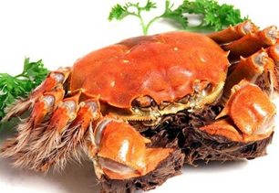 螃蟹什么季節(jié)最好吃？螃蟹幾月份吃最好？