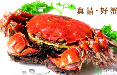 螃蟹什么時(shí)候吃最好？吃螃蟹的最佳時(shí)間 