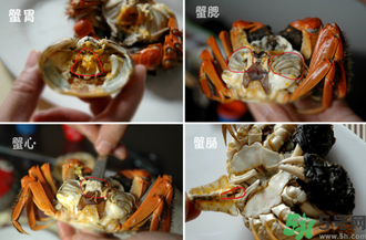 陽澄湖大閘蟹怎么吃？食陽澄湖大閘蟹注意事項