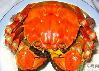 大閘蟹什么季節(jié)吃最好？吃大閘蟹的季節(jié)