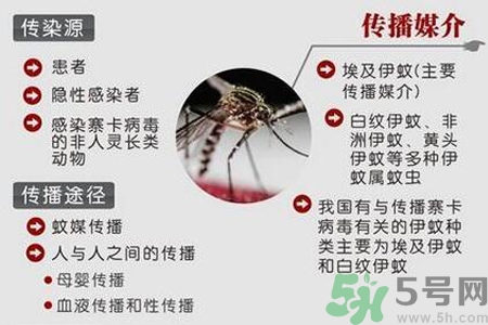 寨卡病毒是如何傳播的？寨卡病毒傳播途徑是什么？