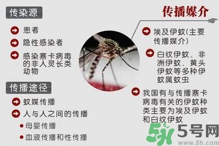 寨卡病毒會(huì)死人嗎？寨卡病毒會(huì)死嗎？