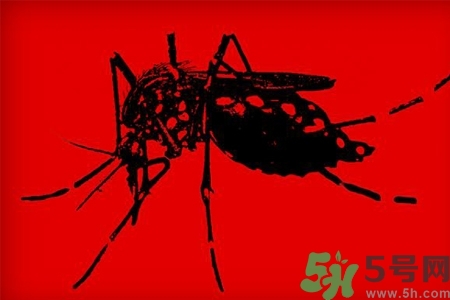 寨卡病毒會(huì)死人嗎？寨卡病毒會(huì)死嗎？