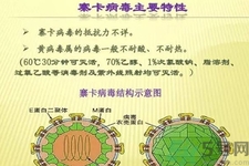 寨卡病毒可以治愈嗎？寨卡病毒如何治愈？