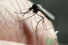 寨卡病毒對(duì)兒童的影響有哪些？寶寶如何避免及預(yù)防？