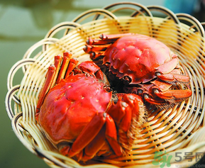 陽(yáng)澄湖大閘哪個(gè)牌子好?陽(yáng)澄湖大閘蟹哪個(gè)牌子是正宗的? 陽(yáng)澄湖大閘哪個(gè)牌子好?陽(yáng)澄湖大閘蟹哪個(gè)牌子是正宗的?