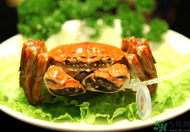 陽(yáng)澄湖大閘哪個(gè)牌子好?陽(yáng)澄湖大閘蟹哪個(gè)牌子是正宗的? 陽(yáng)澄湖大閘哪個(gè)牌子好?陽(yáng)澄湖大閘蟹哪個(gè)牌子是正宗的?