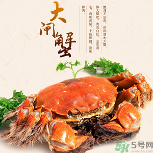 梁子湖大閘蟹什么時候上市？梁子湖大閘蟹上市時間