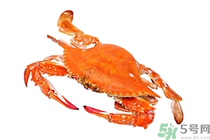 懷孕期間能吃螃蟹嗎？吃螃蟹會影響懷孕嗎？