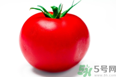 番茄和西紅柿有什么區(qū)別？番茄和西紅柿一樣嗎？