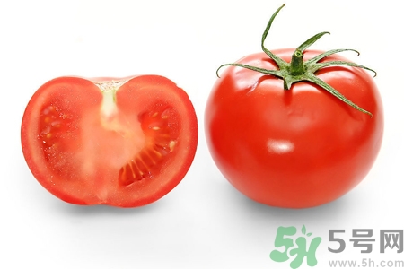 番茄和西紅柿有什么區(qū)別？番茄和西紅柿一樣嗎？