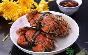 海蟹什么時候最肥？海蟹什么時候吃最好？