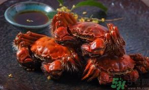 陽澄湖大閘蟹死了還能吃嗎？陽澄湖大閘蟹死了為什么不能吃？