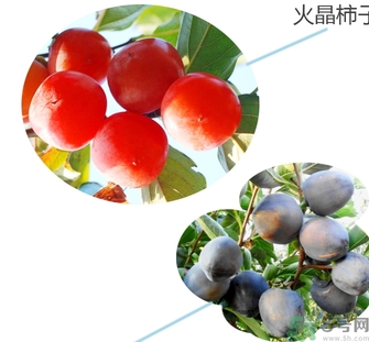 黑柿的營養(yǎng)價值及功效 黑柿怎么吃？