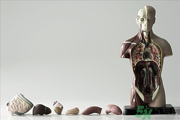 腸炎肚子疼怎么辦？腸炎肚子疼怎么緩解？