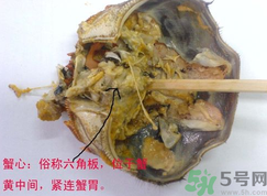 梭子蟹哪些部位不能吃？梭子蟹哪些人不能吃？