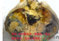 梭子蟹哪些部位不能吃？梭子蟹哪些人不能吃？