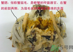 梭子蟹哪些部位不能吃？梭子蟹哪些人不能吃？