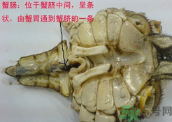 梭子蟹哪些部位不能吃？梭子蟹哪些人不能吃？