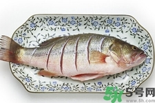 秋季適合吃什么魚？秋季吃魚的好處？