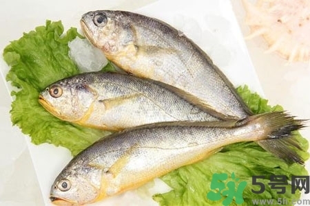 秋季適合吃什么魚(yú)？秋季吃魚(yú)的好處？