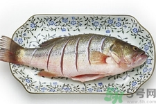 如何挑選新鮮魚？怎樣吃到不被污染的魚？