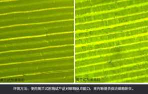 sk2大眼眼霜怎么樣？sk2大眼眼霜好用嗎？