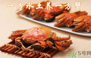 盤錦河蟹和陽(yáng)澄湖大閘蟹的區(qū)別？盤錦河蟹和陽(yáng)澄湖大閘蟹哪個(gè)比較好吃？