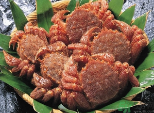 陽(yáng)澄湖大閘蟹和太湖大閘蟹的區(qū)別？陽(yáng)澄湖大閘蟹好還是太湖大閘蟹好？