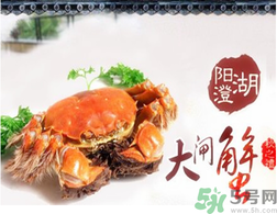 陽澄湖大閘蟹為什么出名？陽澄湖大閘蟹出名的原因