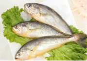 如何挑選新鮮魚？怎樣吃到不被污染的魚？
