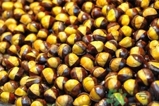 吃栗子會(huì)胖嗎？栗子吃多了會(huì)怎樣？