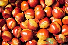 吃栗子會(huì)胖嗎？栗子吃多了會(huì)怎樣？