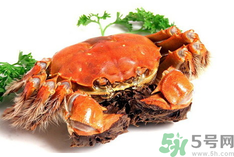 陽(yáng)澄湖大閘蟹是河蟹嗎？陽(yáng)澄湖大閘蟹和河蟹的區(qū)別