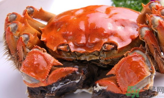 陽澄湖大閘蟹好吃嗎？陽澄湖大閘蟹為什么好吃？