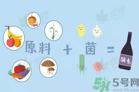 酵素是什么？吃酵素減肥有效果嗎？